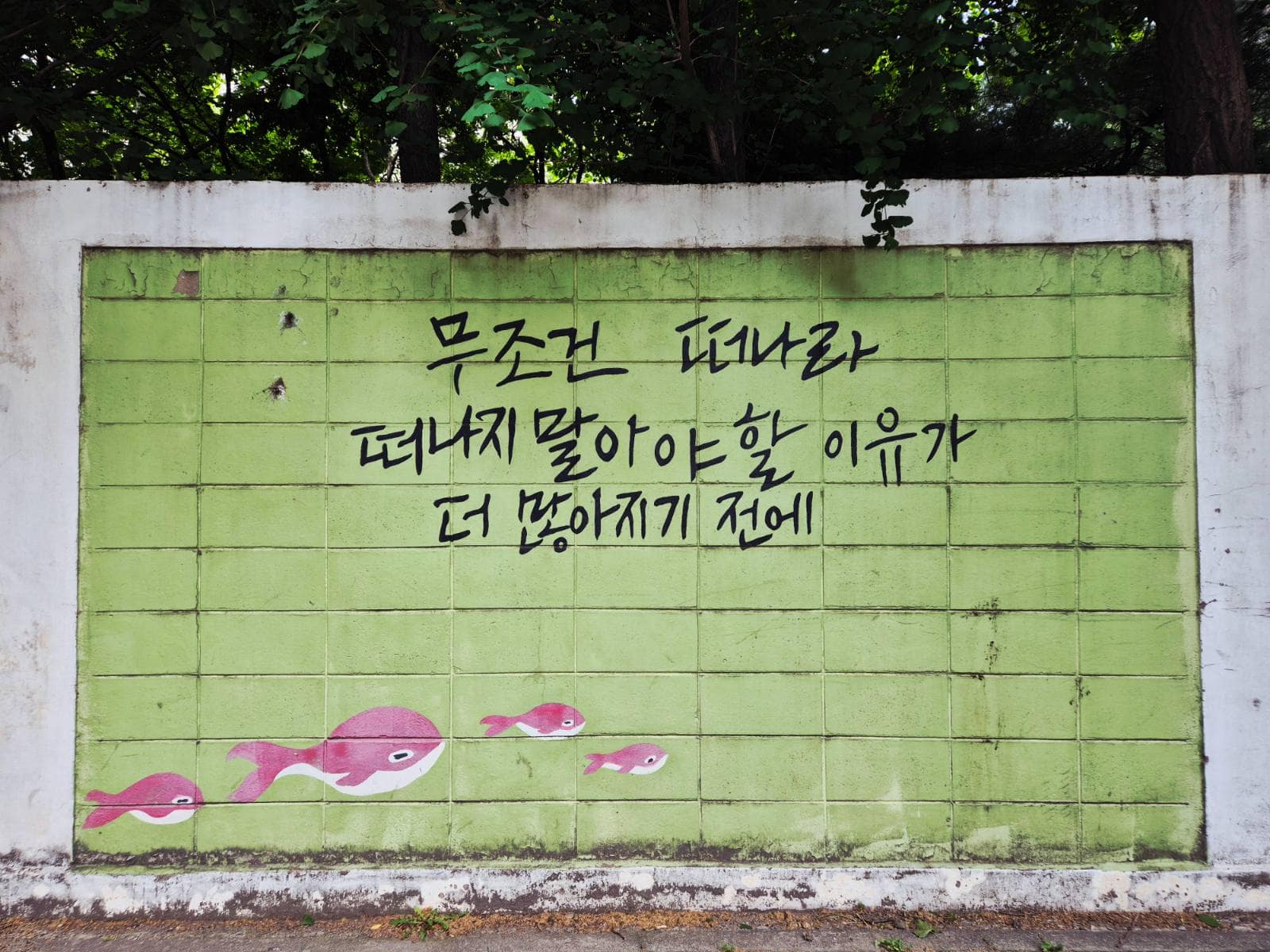 내 폰 안에 있는 아름다운 사진
